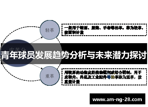 青年球员发展趋势分析与未来潜力探讨